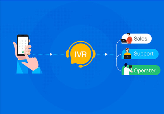 IVR Services