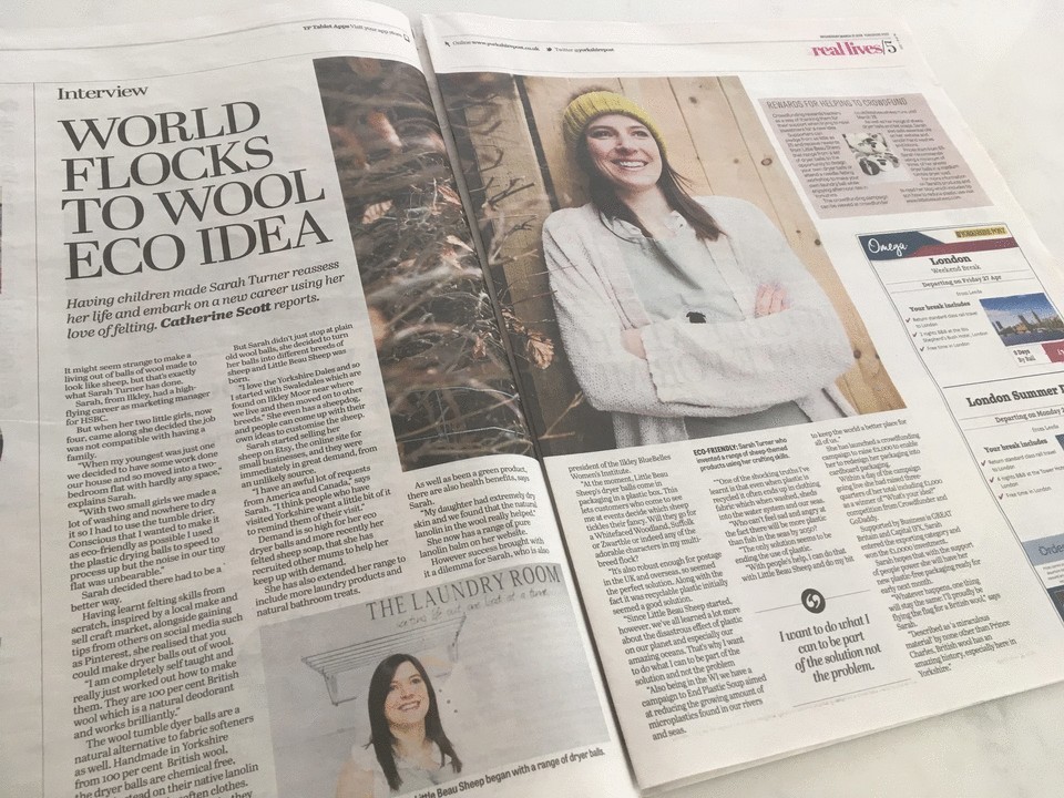 Print Magazine Article